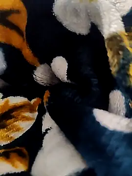 Hotboylumia 825321 online show from December 2025 01:18:02 PM