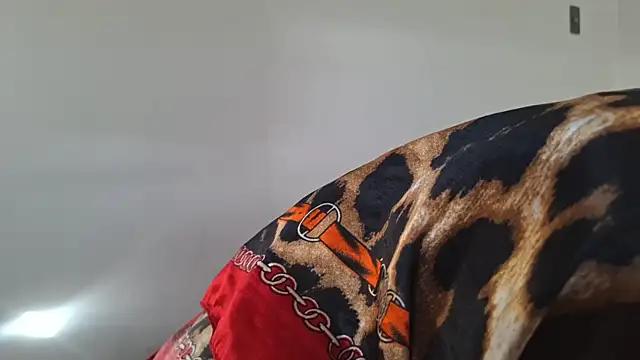 KarenyFelix online show from November 2025 11:31:01 AM