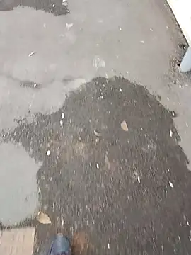 NovelPastime6 online show from January 2026 02:44:01 PM