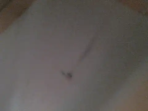 Snapshot of BellahG90 chatting on November 2025 01:54:02 PM BellahG90 online show from November 2025 01:54:02 PM