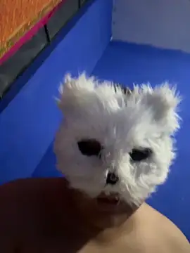 aricub online show from December 2025 12:59:02 AM