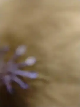 RASHMI SHARMA9 online show from February 2026 03:57:02 AM