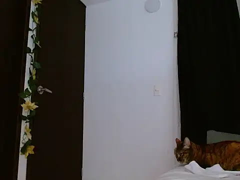 seductrixee online show from January 2026 12:16:01 AM