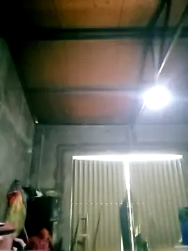 mumu661 online show from December 2025 07:39:01 AM