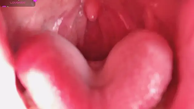 LT-333 online show from February 2026 08:24:02 PM