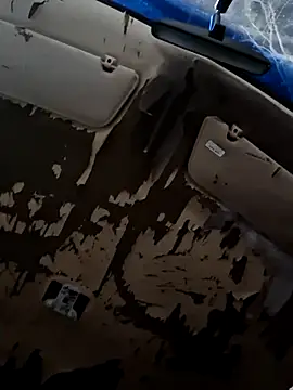 Joes cock online show from February 2026 02:02:02 AM