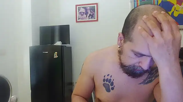 AMIRDIB2025 online show from July 2026 05:33:02 AM