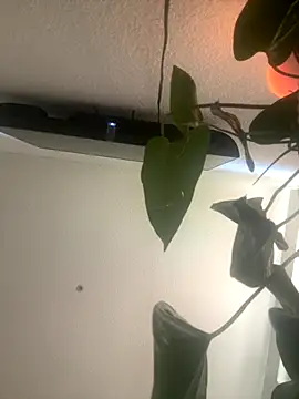 Snapshot of redheadangel_5 chatting on November 2025 10:35:01 PM redheadangel 5 online show from November 2025 10:35:01 PM