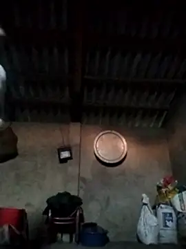 LeoPet2x online show from December 2025 09:46:02 AM