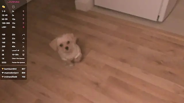 Snapshot of MePretty chatting on March 2025 12:58:02 AM MePretty online show from March 2025 12:58:02 AM