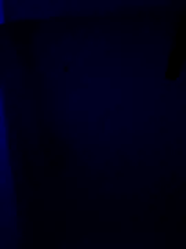 RADHIKA-1143 online show from December 2025 02:31:02 AM