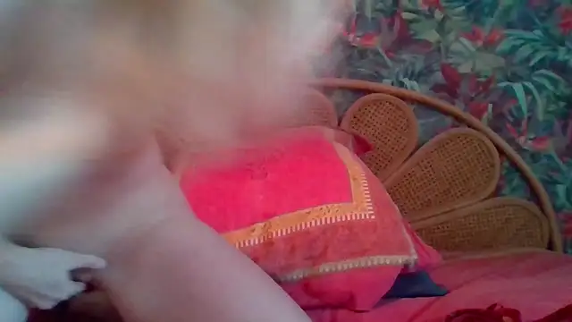 Snapshot of Clelia33 chatting on February 2026 01:48:02 PM Clelia33 online show from February 2026 01:48:02 PM