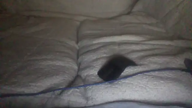 moneymaker50 online show from December 2025 04:51:01 AM