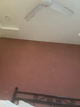 Anshtease online show from February 2026 02:28:01 PM