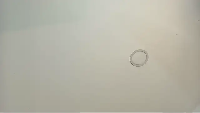 tamara walter online show from February 2026 03:52:02 PM