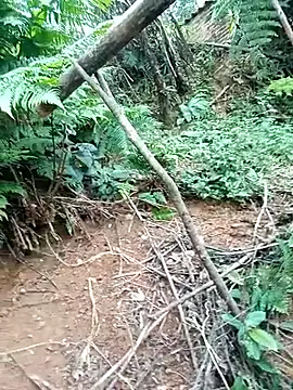 Snapshot of ava-dellght chatting on January 2026 02:38:01 AM ava-dellght online show from January 2026 02:38:01 AM