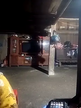 Snapshot of ava-dellght chatting on February 2026 02:28:01 AM ava-dellght online show from February 2026 02:28:01 AM