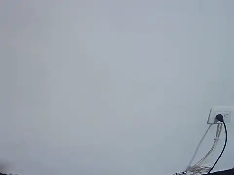 Snapshot of Fernanda_andrew chatting on February 2026 04:49:01 PM Fernanda andrew online show from February 2026 04:49:01 PM