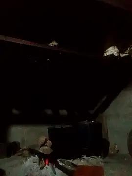 Snapshot of Amiluli chatting on January 2026 01:39:01 PM Amiluli online show from January 2026 01:39:01 PM