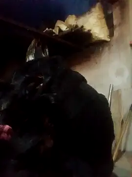 Amiluli online show from March 2026 12:23:01 PM