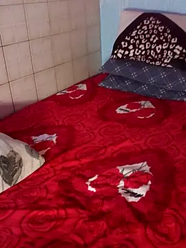 Snapshot of Pintiliescu chatting on December 2025 10:30:01 AM Pintiliescu online show from December 2025 10:30:01 AM