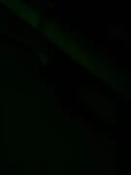 Snapshot of zoodangermind chatting on May 2026 12:08:02 AM zoodangermind online show from May 2026 12:08:02 AM