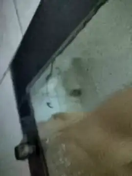 Amoooooun online show from January 2026 07:13:01 AM