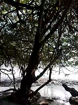 Snapshot of Andreskelly chatting on February 2026 09:22:01 PM Andreskelly online show from February 2026 09:22:01 PM