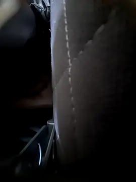 Shank599 online show from February 2026 12:39:02 AM