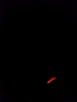 Snapshot of leobct555 chatting on March 2026 03:10:02 AM leobct555 online show from March 2026 03:10:02 AM