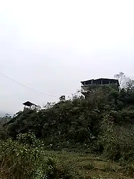 Snapshot of neko-nancy chatting on January 2026 07:55:01 AM neko-nancy online show from January 2026 07:55:01 AM