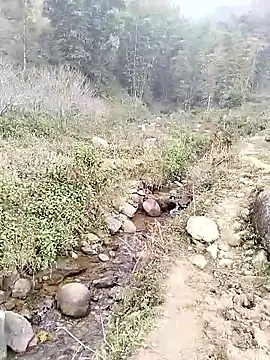 Snapshot of neko-nancy chatting on January 2026 02:50:02 AM neko-nancy online show from January 2026 02:50:02 AM