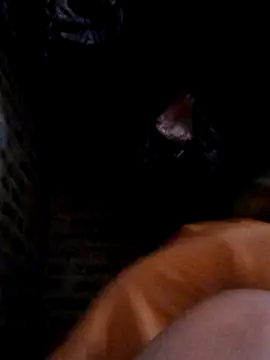 yana-zz online show from March 2026 01:38:01 AM