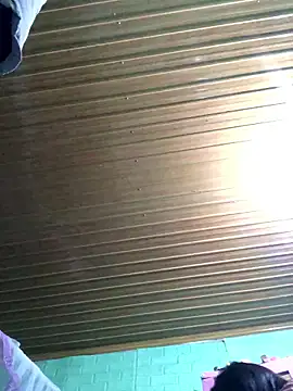 Pege-nii online show from January 2026 10:42:02 AM