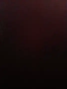 weilpasst online show from July 2026 12:07:02 PM