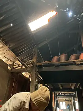 Nika-be online show from January 2026 01:55:02 AM