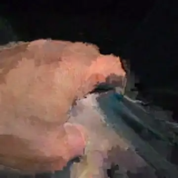 abmelken online show from April 2026 11:17:01 AM