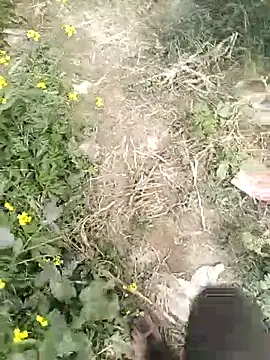 mohit08desi online show from January 2026 09:24:02 AM