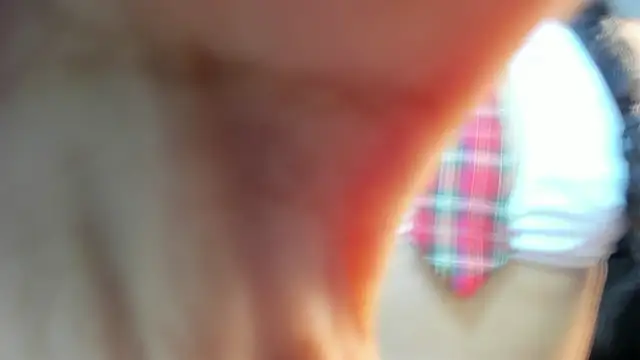 valeria dark  online show from January 2026 08:12:01 PM