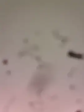 M8ygcthf3 online show from March 2026 06:50:02 AM