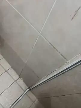 sugar babyy1 online show from March 2026 03:31:01 AM