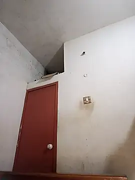 tamilsaisree online show from April 2026 05:29:01 PM