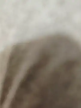 Indian groupxxx online show from December 2025 04:56:01 PM