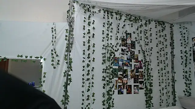 Snapshot of DeerMiracle chatting on January 2026 04:04:01 AM DeerMiracle online show from January 2026 04:04:01 AM