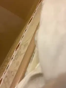 baby young online show from March 2026 11:34:01 PM