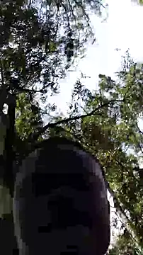 Snapshot of TheVersCouple chatting on January 2026 11:26:02 AM TheVersCouple online show from January 2026 11:26:02 AM