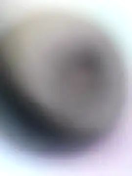 Snapshot of novio-de-la-tarde chatting on April 2026 12:20:02 AM novio-de-la-tarde online show from April 2026 12:20:02 AM