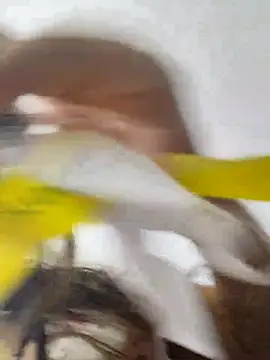 jinx candy online show from February 2026 04:33:01 AM