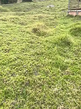 Maicol xxxx online show from April 2026 08:46:01 PM