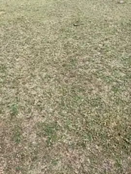 Snapshot of Tamilpaiyan07 chatting on February 2026 03:49:01 AM Tamilpaiyan07 online show from February 2026 03:49:01 AM